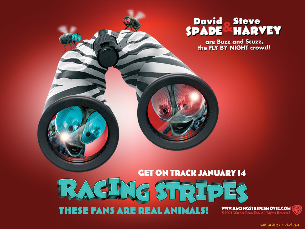 racing, stripes, 